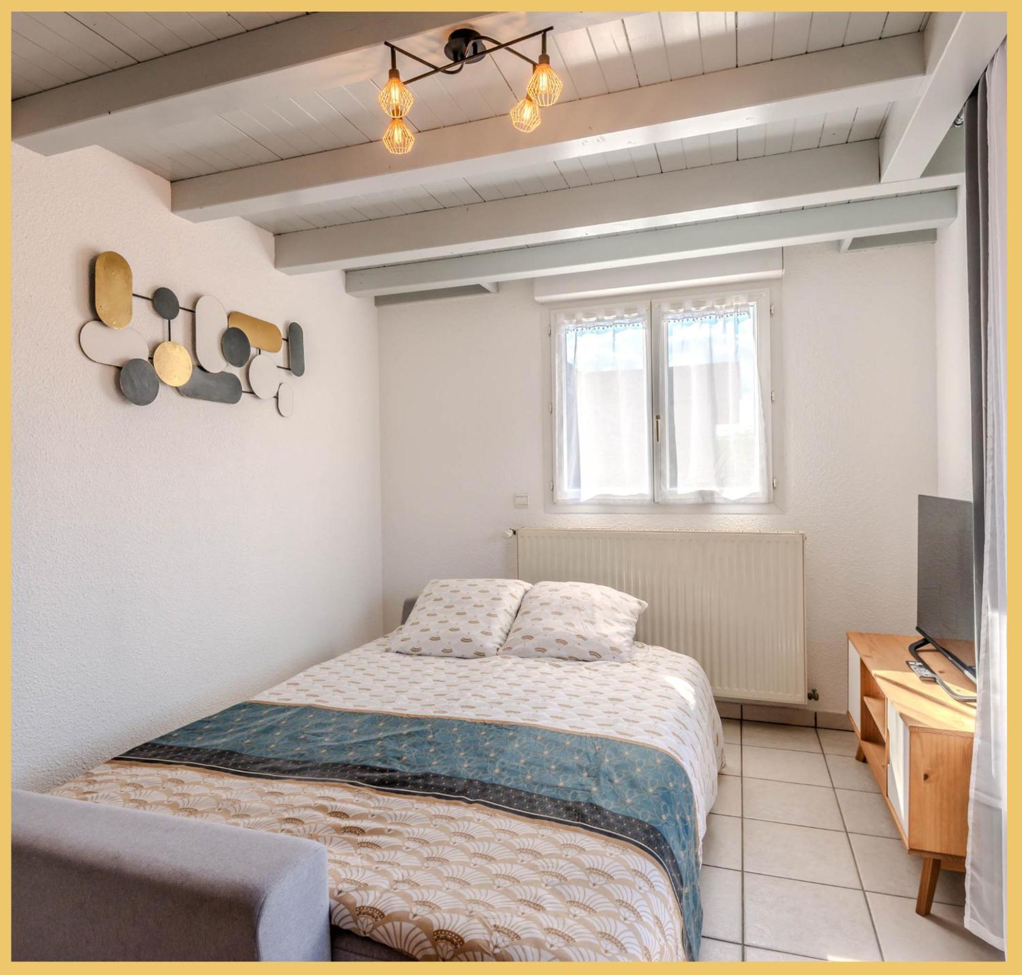 Le Faucigny Apartment Saint-Pierre-en-Faucigny Ngoại thất bức ảnh