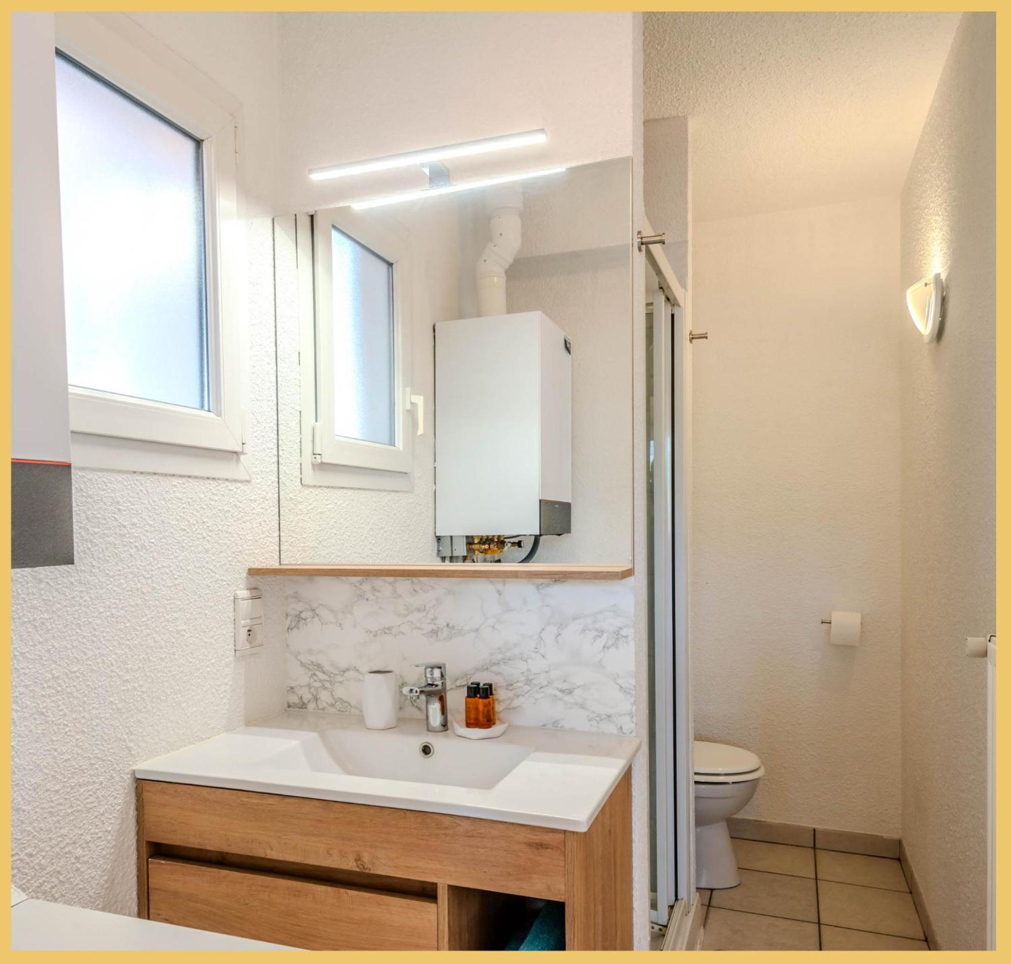 Le Faucigny Apartment Saint-Pierre-en-Faucigny Ngoại thất bức ảnh