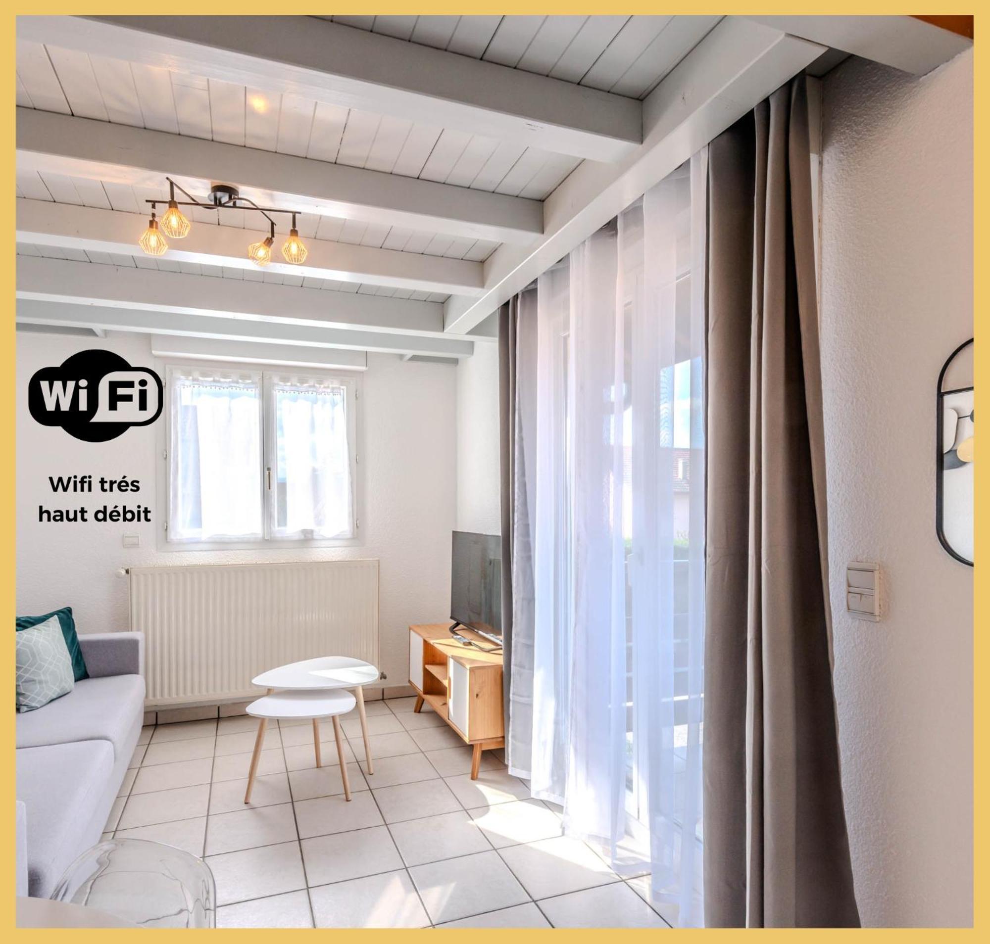 Le Faucigny Apartment Saint-Pierre-en-Faucigny Ngoại thất bức ảnh